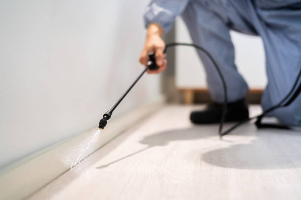Bed Bug Pre-Treatment Preparation Assessment in Vancleave