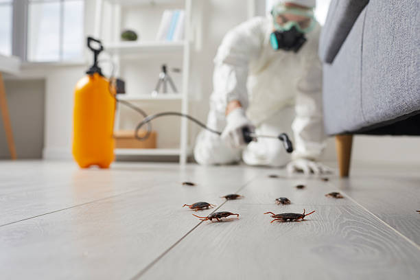 Post-Treatment Bed Bug Interceptor Monitoring in Vancleave