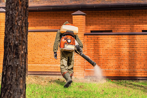 Bed Bug Clearance Verification and Documentation in Vancleave